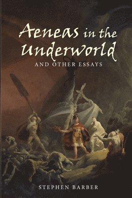 Stephen Barber - Aeneas in the Underworld and Other Essays, Häftad