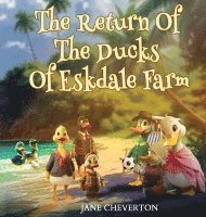 The Return Of The Ducks Of Eskdale Farm 1