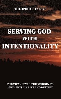 bokomslag Serving God with Intentionality