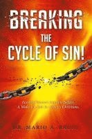 bokomslag Breaking the Cycle of Sin