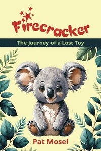 bokomslag Firecracker: The Journey of a Lost Toy