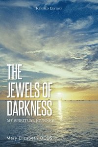 bokomslag Jewels of Darkness
