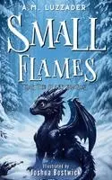 A M Luzzader, Joshua Bostwick - Small Flames, Häftad. Tillgänglighet: Lägg i varukorg