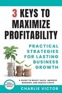 bokomslag 3 Keys to Maximize Profitability - Practical Strategies for Lasting Business Growth