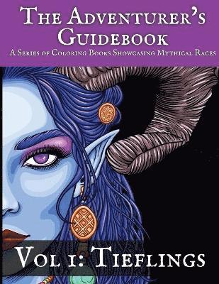 The Adventure's Guidebook 1