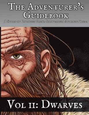 The Adventurer's Guidebook 1