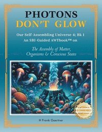 bokomslag Photons Don't Glow
