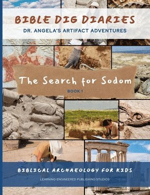 BIBLE DIG DIARIES-Dr. Angela's Artifact Adventures