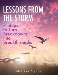 bokomslag Lessons From The Storm: 7 Steps to Turn Breakdowns into Breakthroughs