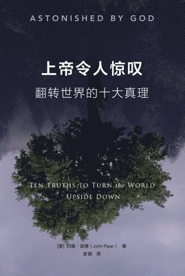 上帝令人惊叹： 翻转世界的十大真理（简体中文版）Astonished by God