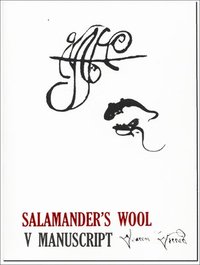 bokomslag Salamander's Wool