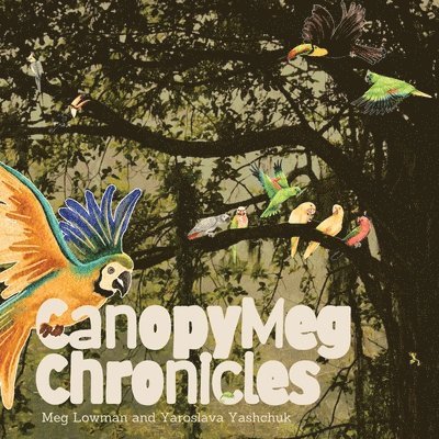 CanopyMeg Chronicles 1