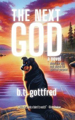 B T Gottfred, B. T. Gottfred, b.t. gottfred - Next God, Häftad