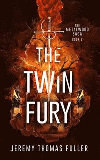 bokomslag Twin Fury