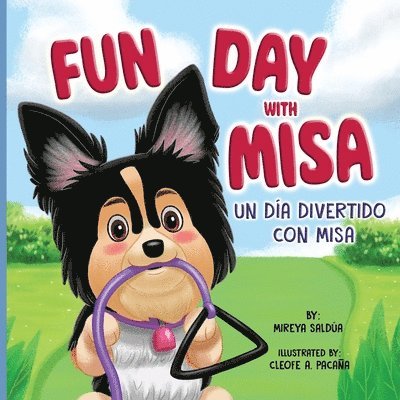Mireya Saldúa, Natalia Sepúlveda - Fun Day with Misa (Un día divertido con Misa), Häftad