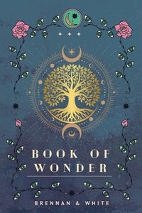 bokomslag Book of Wonder
