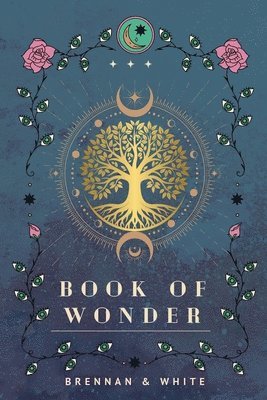 bokomslag Book of Wonder