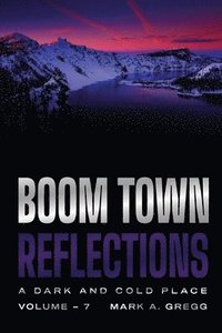 bokomslag A Dark and Cold Place (Boom Town Reflections Volume 7)