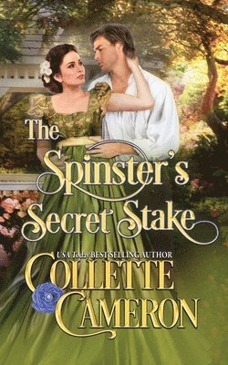 bokomslag Spinster's Secret Stake