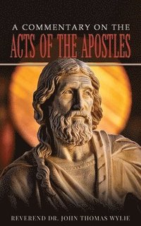 bokomslag A Commentary on the Acts of the Apostles