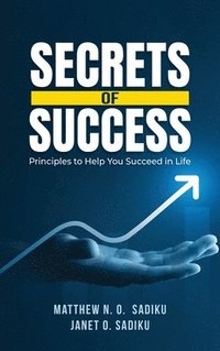 bokomslag Secrets of Success: principles to help you succeed in life