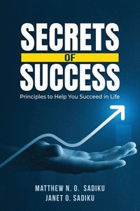 bokomslag Secrets of Success