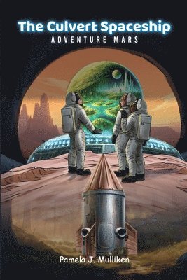 bokomslag Culvert Spaceship