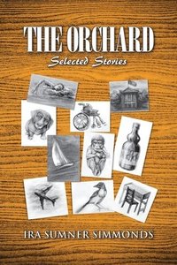 bokomslag The Orchard: Selected Stories