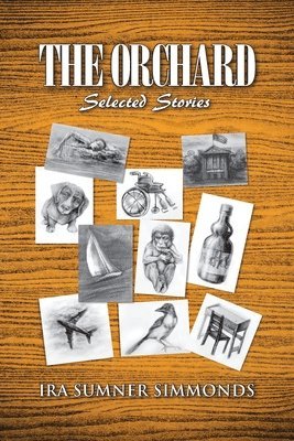 bokomslag The Orchard: Selected Stories
