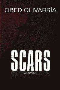 bokomslag Scars