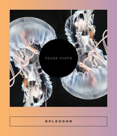 Sarah Coolidge - Splendor, Häftad