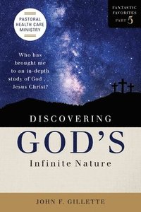 bokomslag Discovering God's Infinite Nature