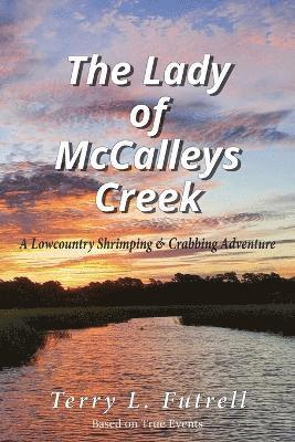 bokomslag Lady of McCalleys Creek