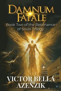bokomslag Damnum Fatale