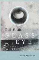 bokomslag Glass Eye