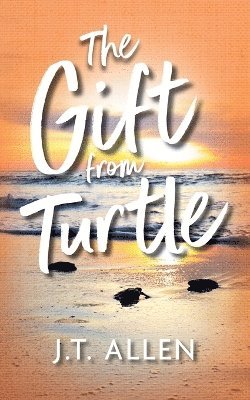 bokomslag Gift from Turtle