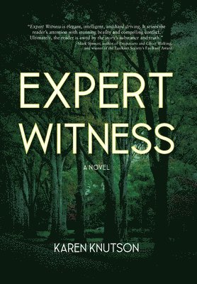 bokomslag Expert Witness