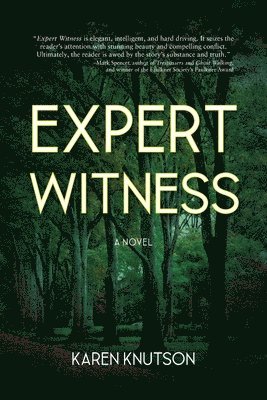 bokomslag Expert Witness