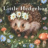 bokomslag Little Hedgehog
