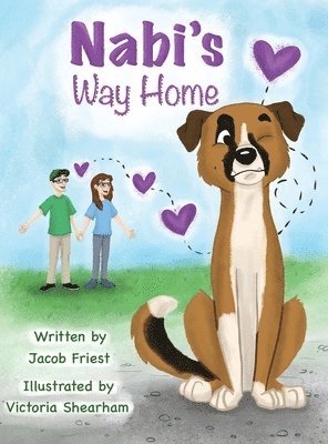 Nabi's Way Home 1