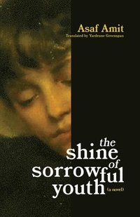 bokomslag shine of sorrowful youth