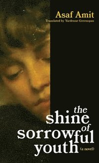 bokomslag shine of sorrowful youth