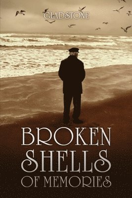 Broken Shells of Memories 1