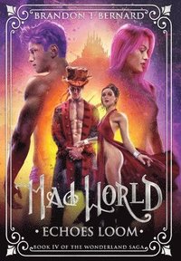bokomslag Mad World
