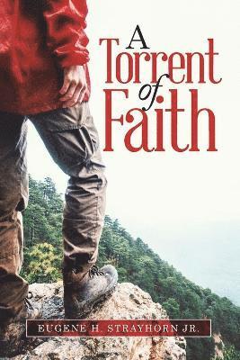 bokomslag Torrent Of Faith