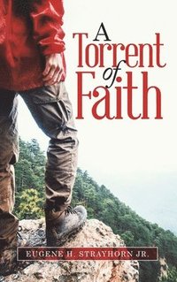 bokomslag Torrent Of Faith