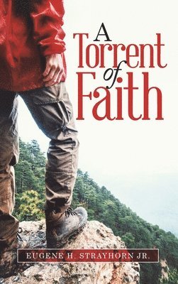 bokomslag Torrent Of Faith