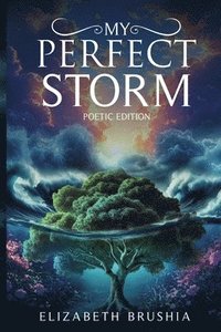 bokomslag My Perfect Storm