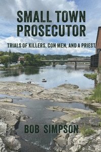 bokomslag Small Town Prosecutor