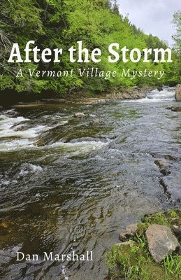 Dan Marshall - After the Storm, Häftad
